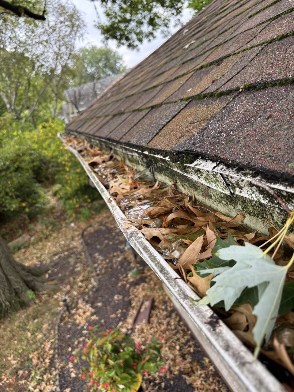 Exterior Repair Services